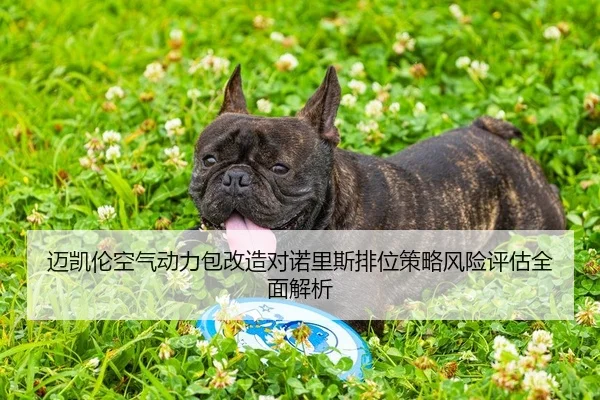 迈凯伦空气动力包改造对诺里斯排位策略风险评估全面解析